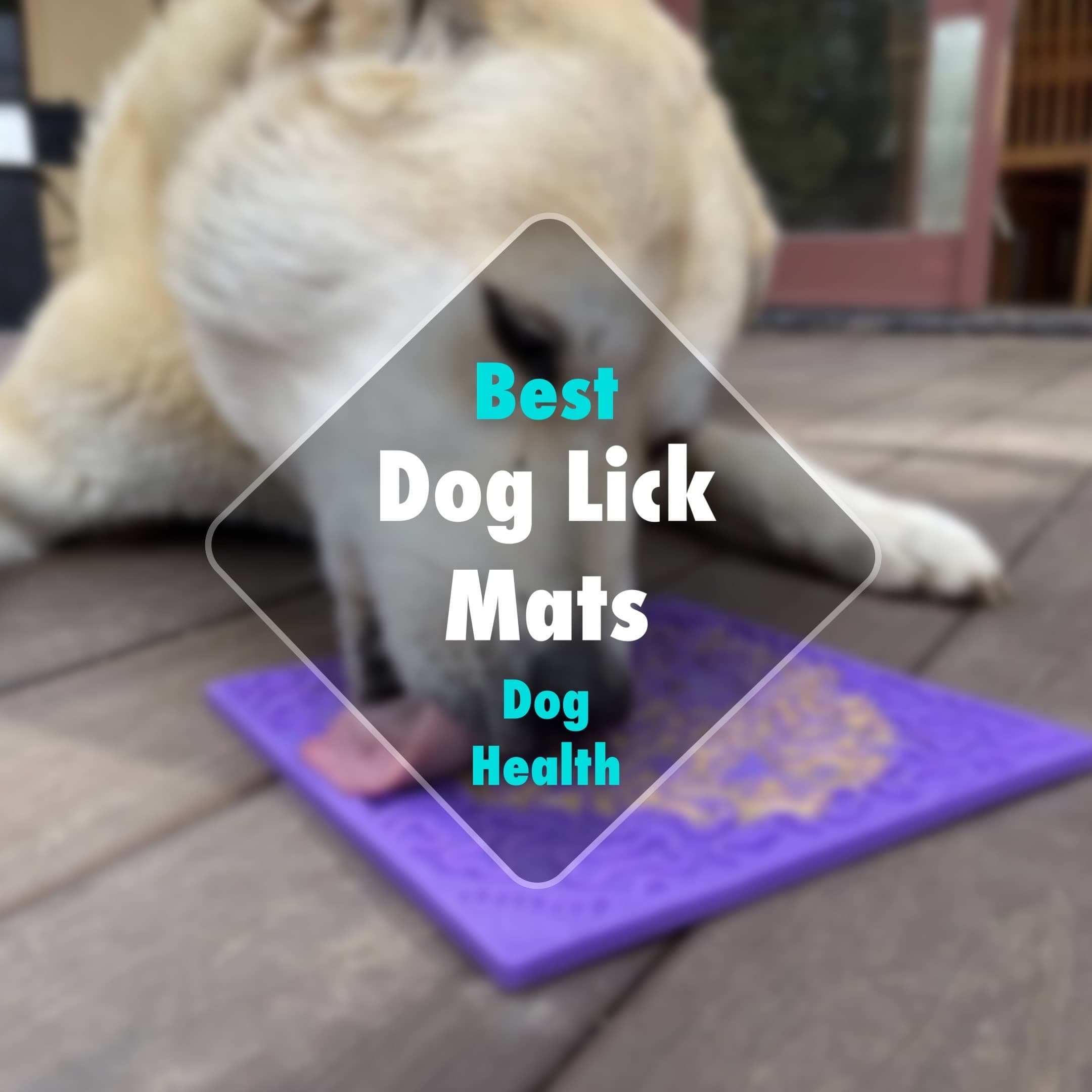 4 Best Lick Mats To Distract Your Dog (11 Tested & Reviewed