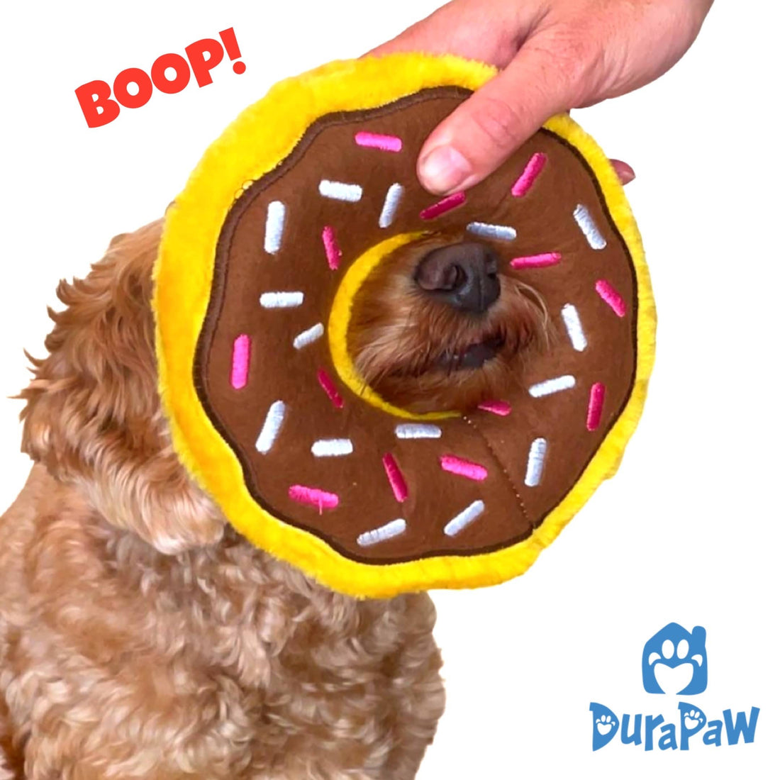 Teach and Learn the Best Dog Tricks Nose Boop, Sit Pretty, Take A Bow