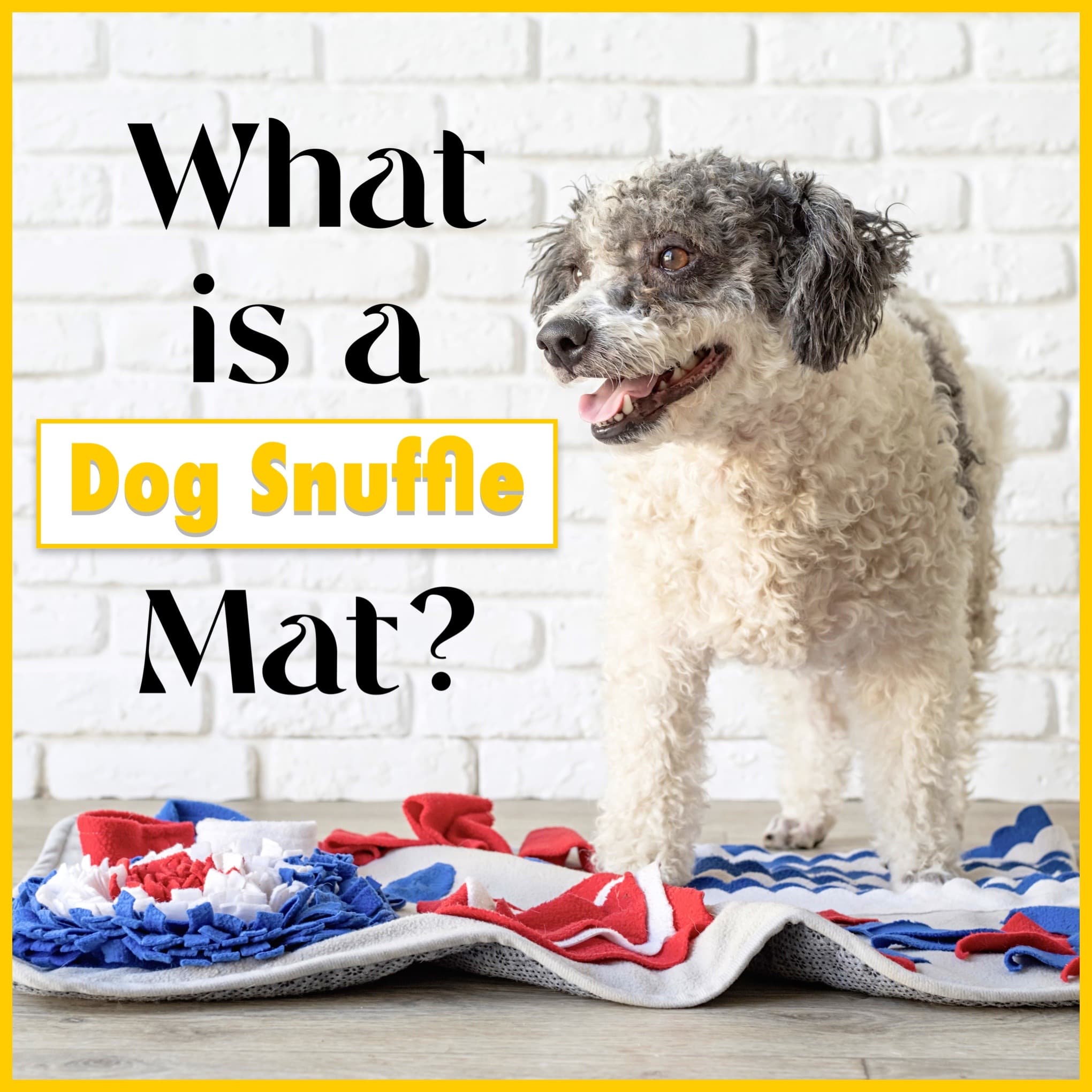 AMISAN Snuffle Mat for Dogs with Lick Mat and Plush Dog Toy - Enrichment  Treat Dog Sniffing