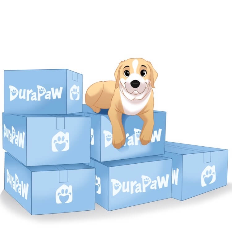 6 Month Plan Mighty Chewer Box