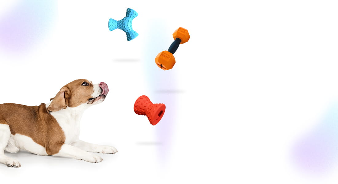 DuraPaw Cheap Dog Toy Sale Canada