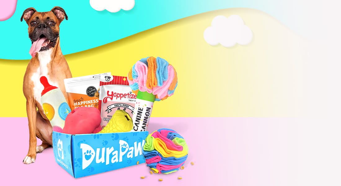 DuraPaw Dog Toy Subscription Box Canada