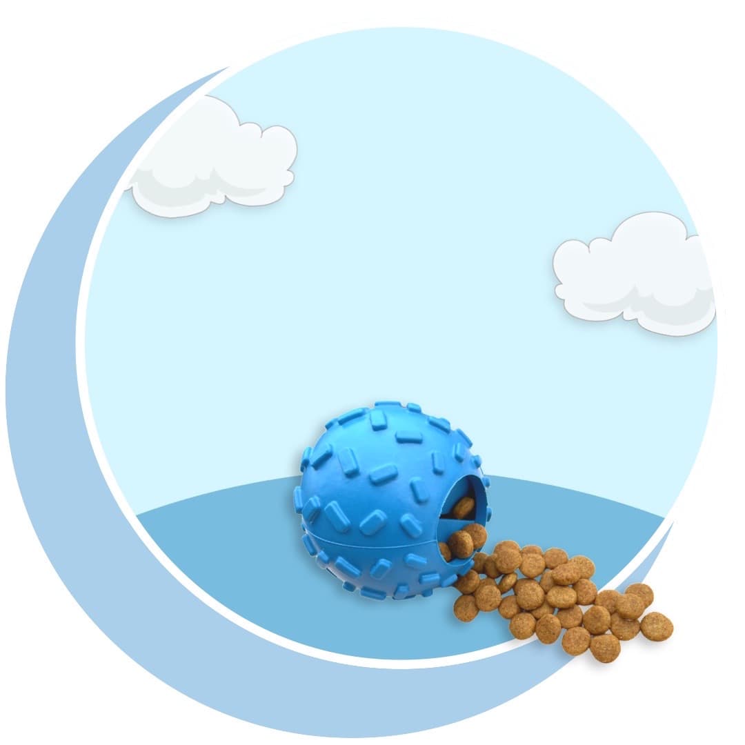 Dog Toy Subscription Box Canada Healthy Digestion Toy