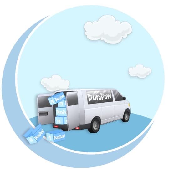 Dog Toy Subscription Box Canada Free Shipping