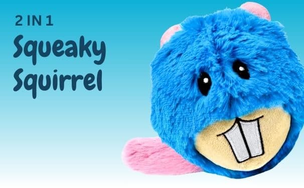 DuraPaw Blue Squirrel Nutty 2 in 1 Dog Toy