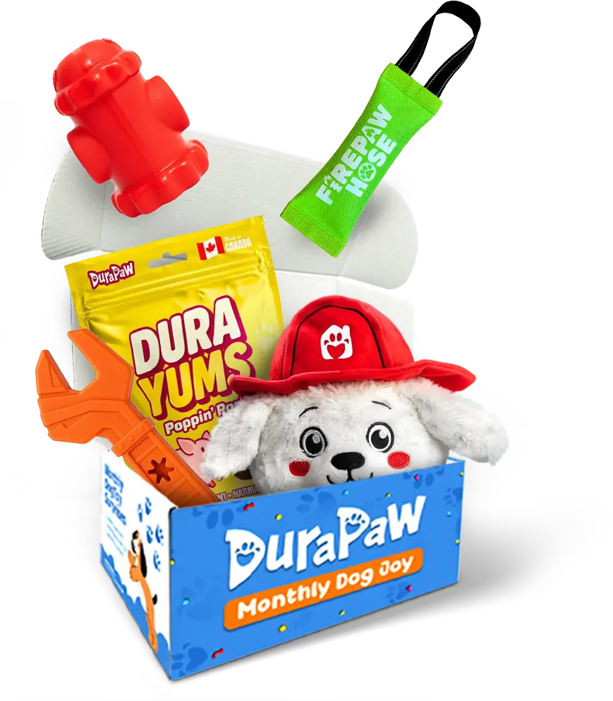 Dog toy box with plush dog toy, fire hydrant enrichment feeder, and DuraYums treats from DuraPaw on a png background.