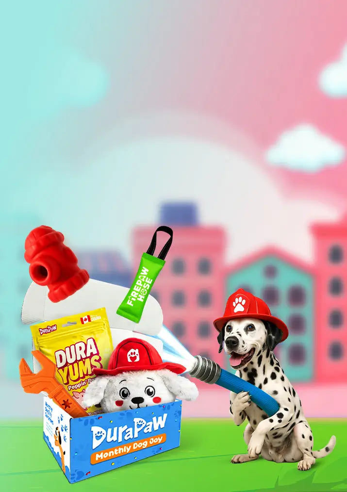 Dog toy set with DuraPaw branding against a colorful fire truck themed dog subscription box bark squad background