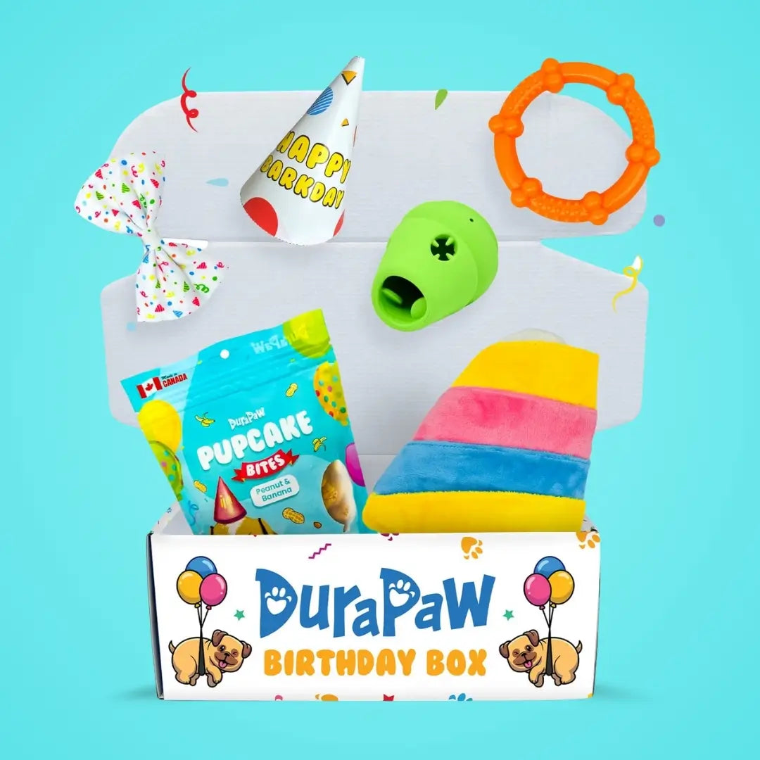 Puppy Dog Birthday Present Gift Ideas
