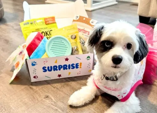 Cute Birthday Puppy Gift Dog Box