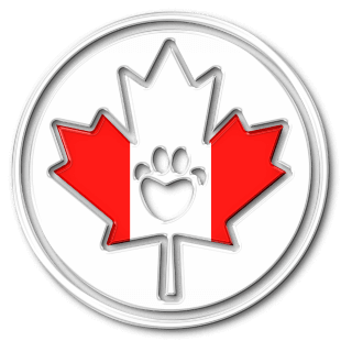 DuraPaw Canadian Dog Subscription Boxes