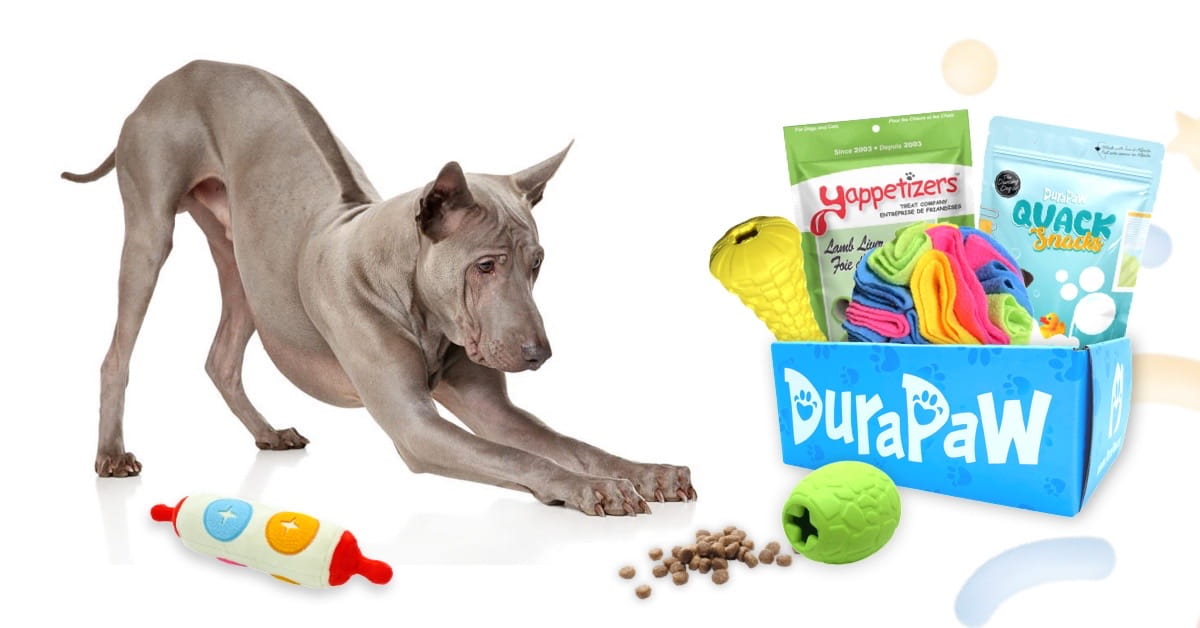 DuraPaw - Tough Dog Toys Canada