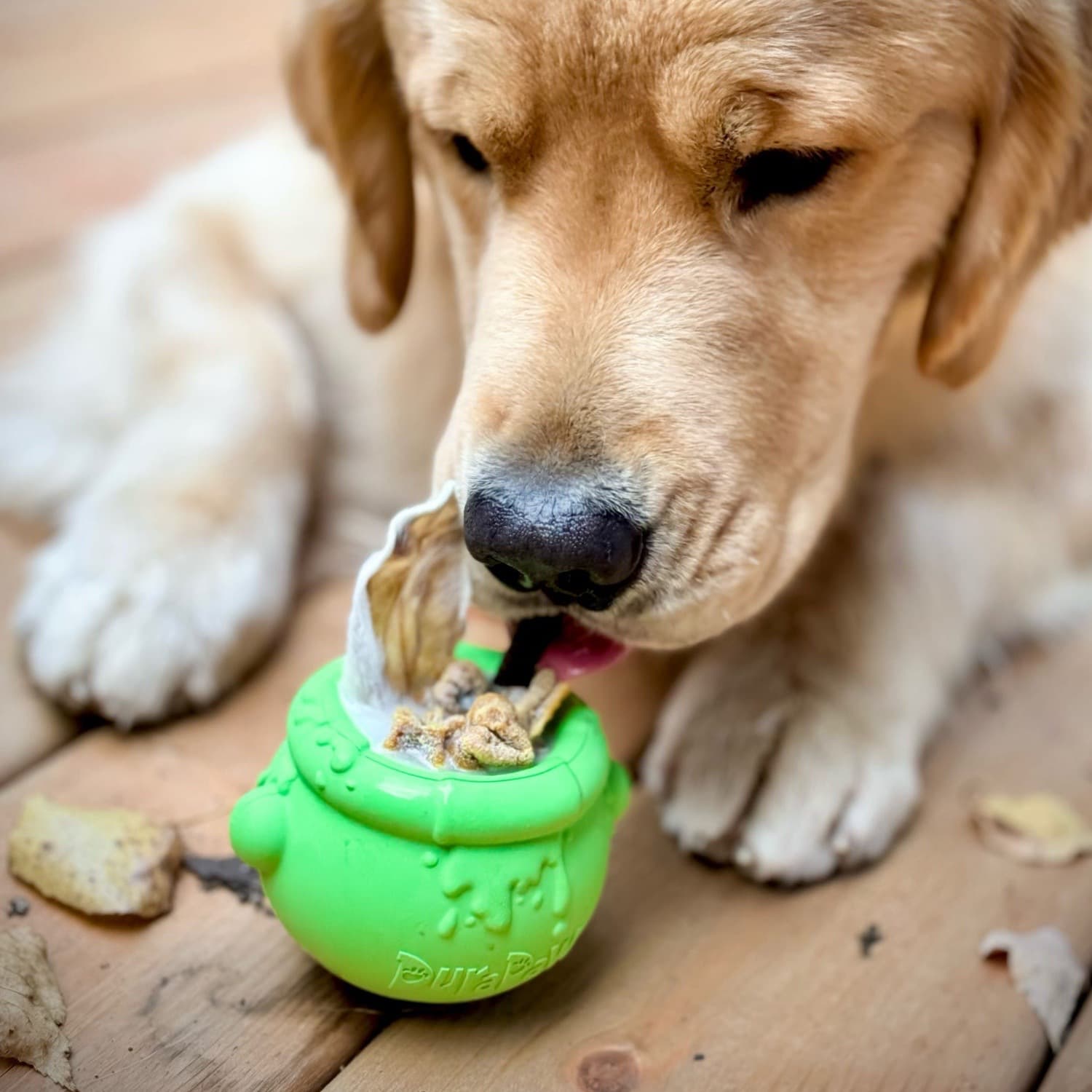Dog Licking DuraPaw Enrichment Toppler Bowl Slow Feeding Toy Recipe