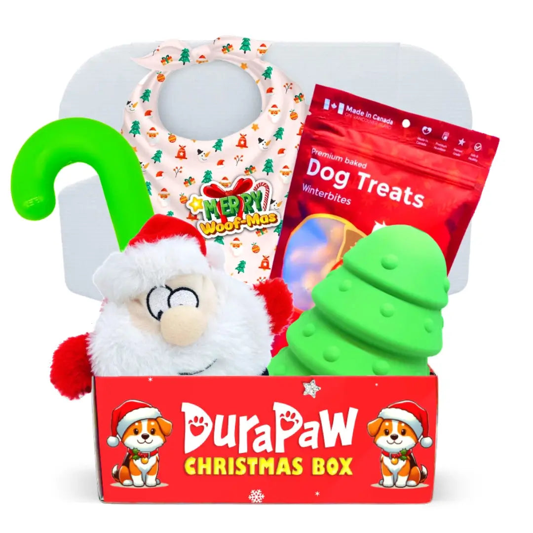 DuraPaw Christmas Dog Gift Box Present Idea