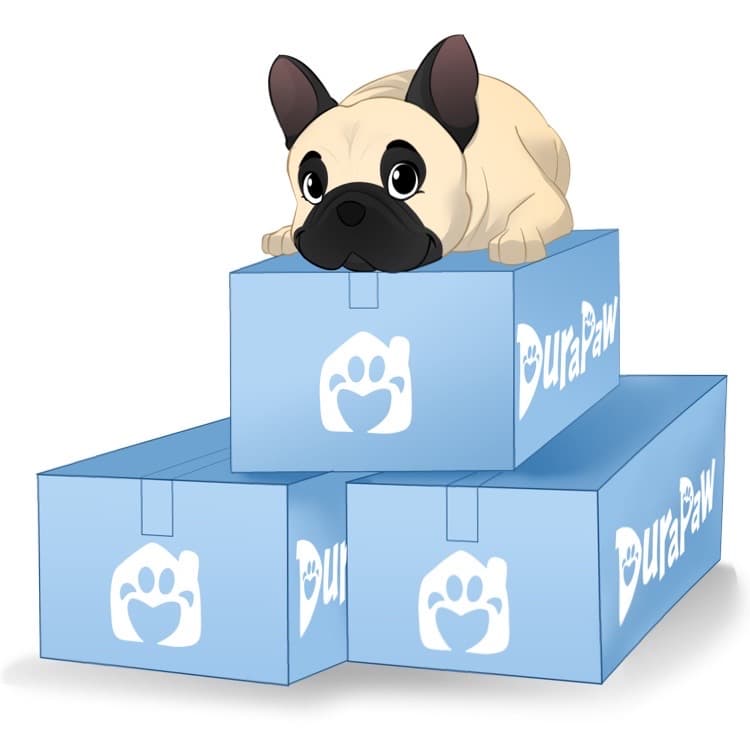 DuraPaw Monthly Dog Subscription Box 3 Month Plan Enrichment Box