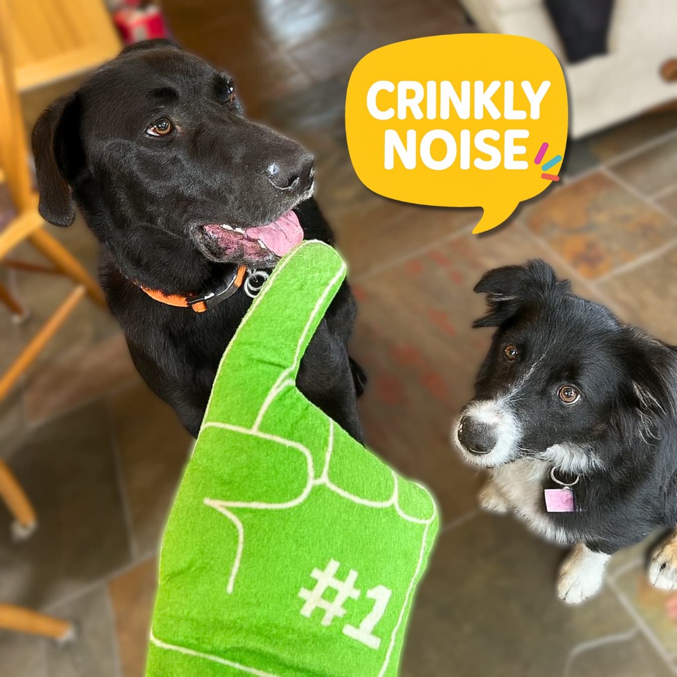 Two dogs with a green DuraPaw foam finger dog toy and 'Crinkly Noise' branding in a home setting.