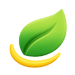 100% Natural Rubber