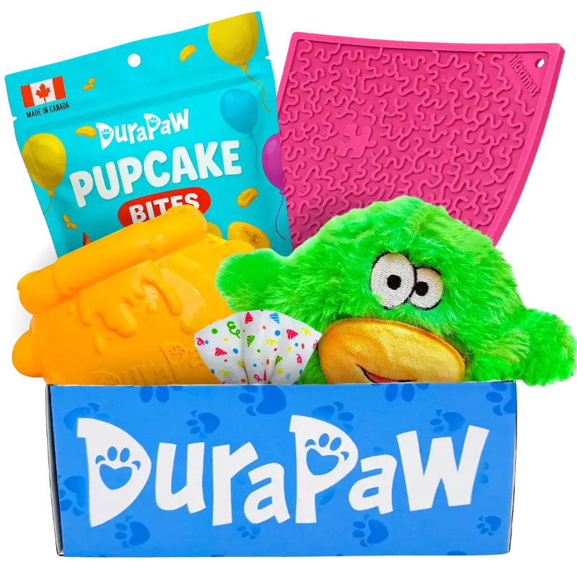 DuraPaw product set with green plush toy, cupcake-shaped treats, and pink mat on a white background