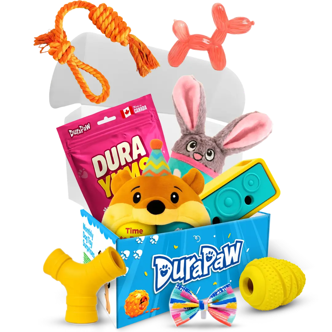 Assorted DuraPaw box with pet toys and Canadian made dog treats on a png background
