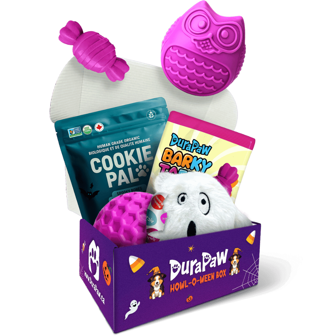 DuraPaw Dog toy and treat Halloween purple box with various pet items on a png transparent background