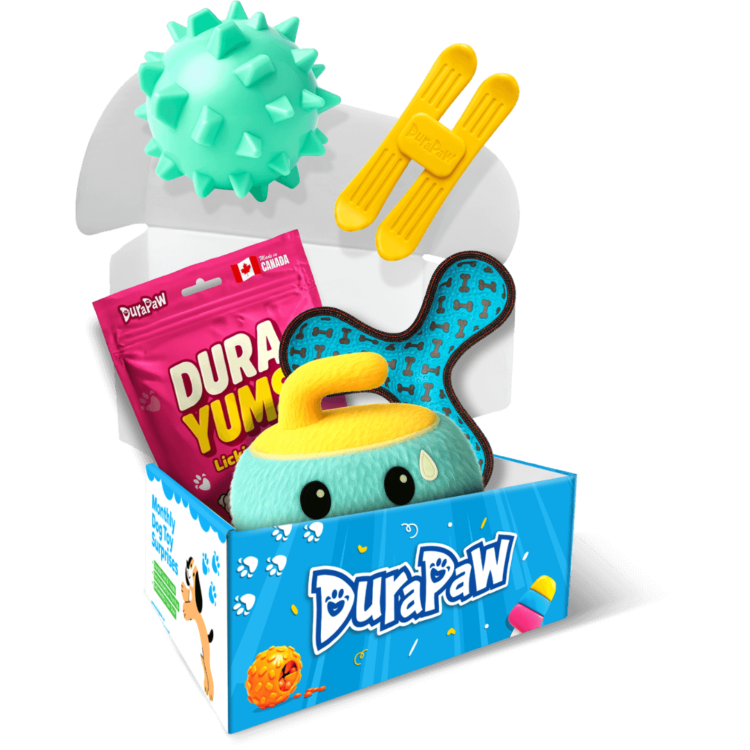 DuraPaw dog subscription box Olympics themed product set with plush toy, chew ball, and packaging