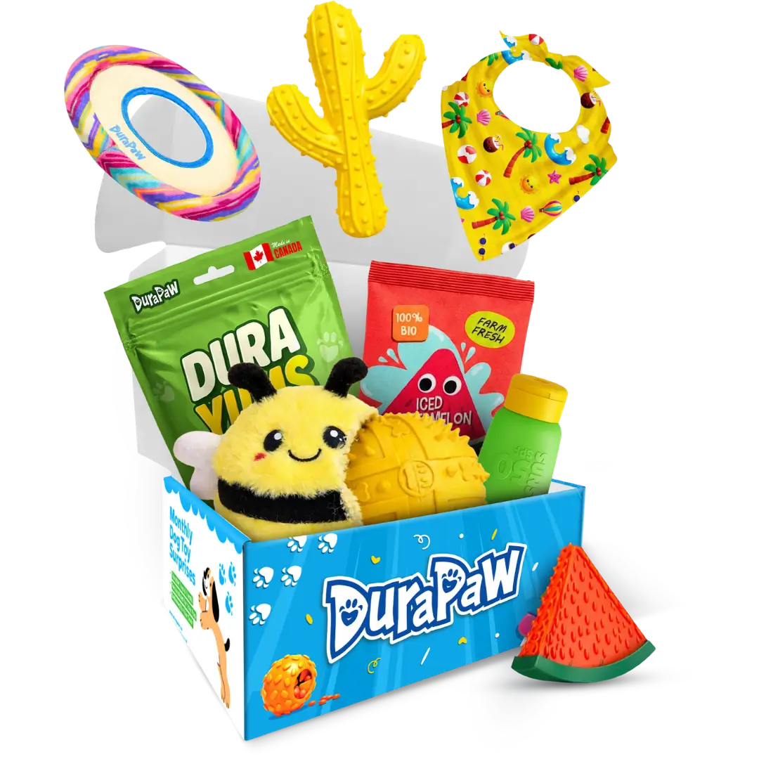 DuraPaw Summer Splash monthly dog subscription box overflowing with durable Rippable chew toys and 100% Canadian-made treats, built for heavy chewers and enrichment-driven dogs.
