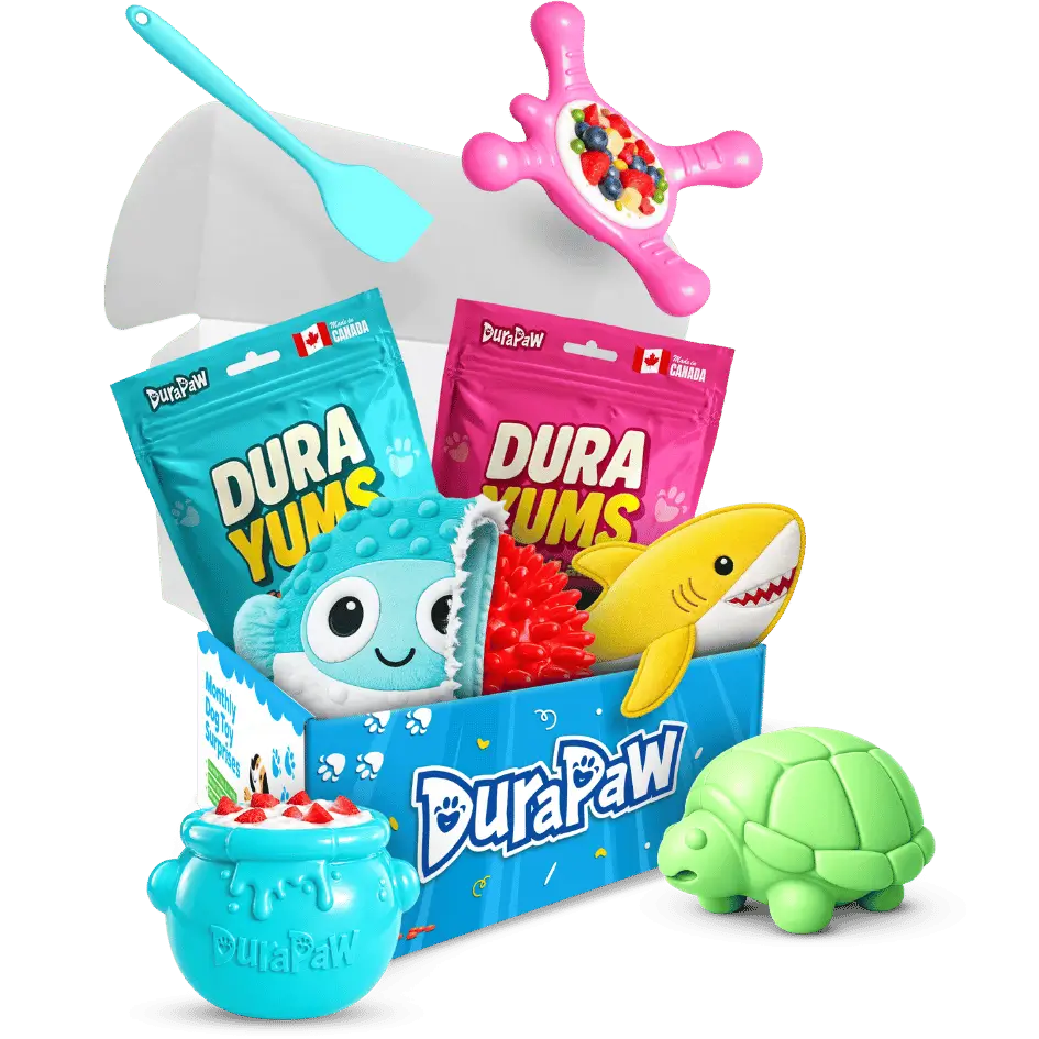 A DuraPaw toy gift set box featuring a blue box filled with colorful plush toys and packaged treats, plus matching loose toys including a pink star-shaped toy, a blue spatula, a yellow shark toy, a green turtle toy, and a blue cauldron-shaped toy on a png background.
