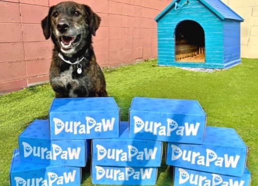DuraPaw Multi Dog Subscription Box Donations Canada