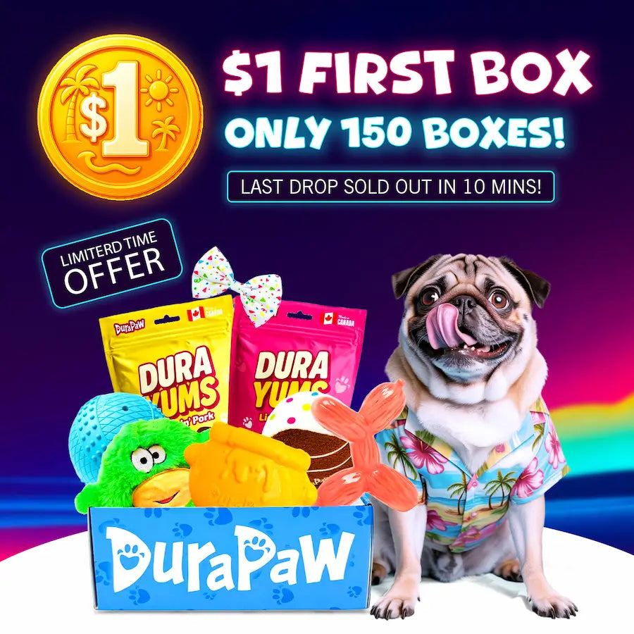 DuraPaw $1 promotional dog subscription box with a dog and colorful packaging, featuring a limited-time offer.