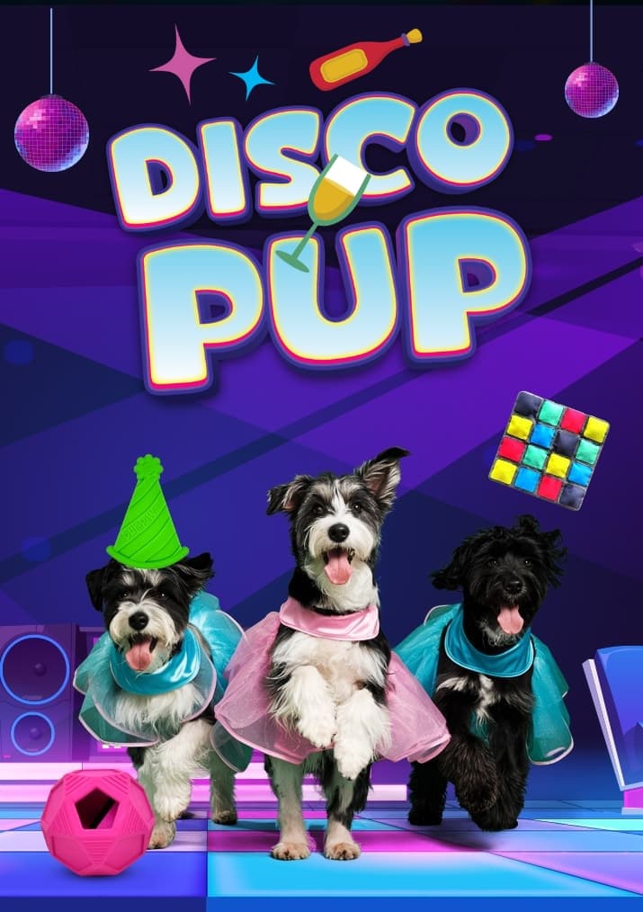 DuraPaw Disco Pups New Years Party Dog Toy Subscription Box Theme Pack