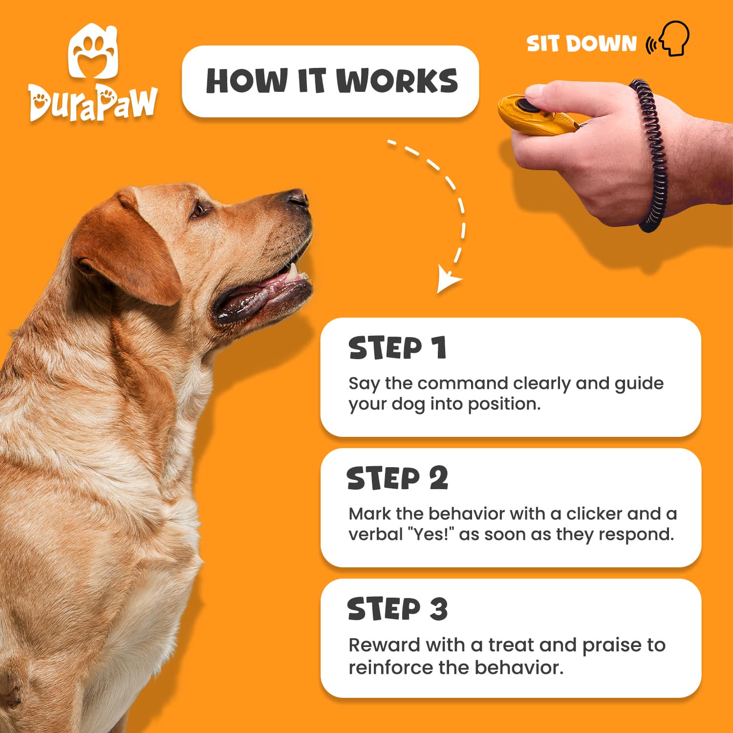 DuraPaw Pet Dog Training Clicker Benefit Instructions Use