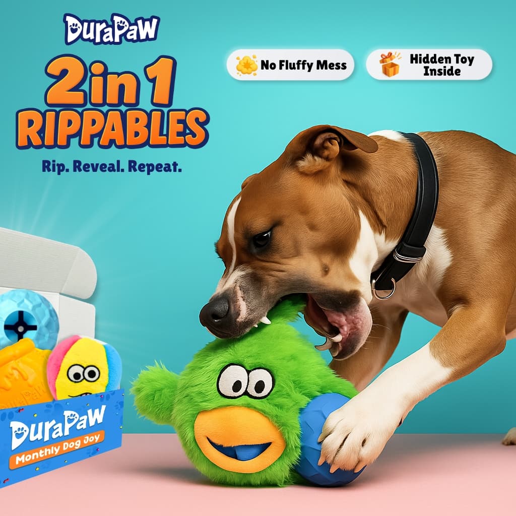 Dog playing with a green and blue 2-in-1 DuraPaw Rippable toy, with DuraPaw branding and No Fluffy Mess