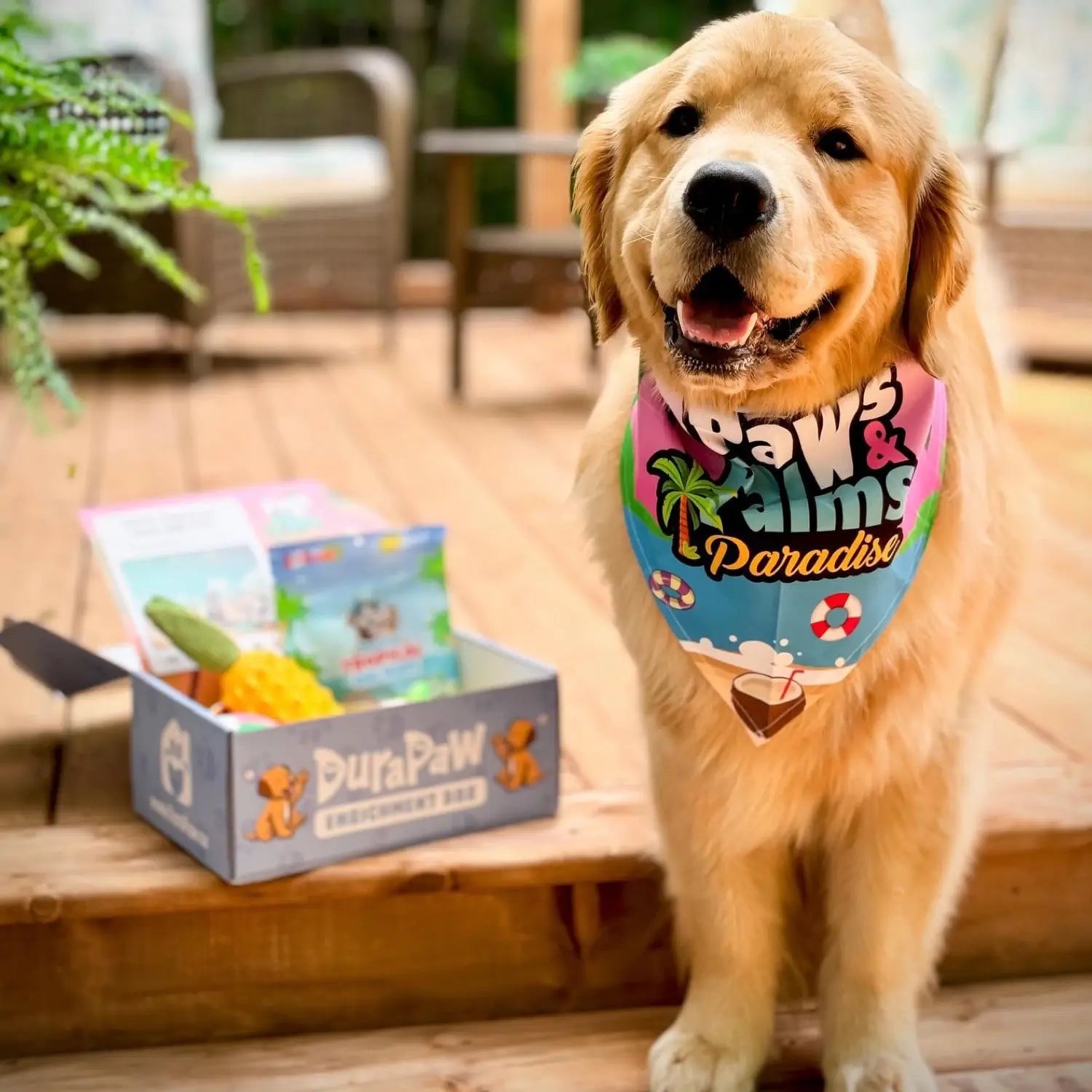 12 Month Plan - Ultimate Dog Enrichment Box