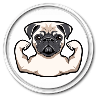 Super Tough Durable Dog Toys Canada