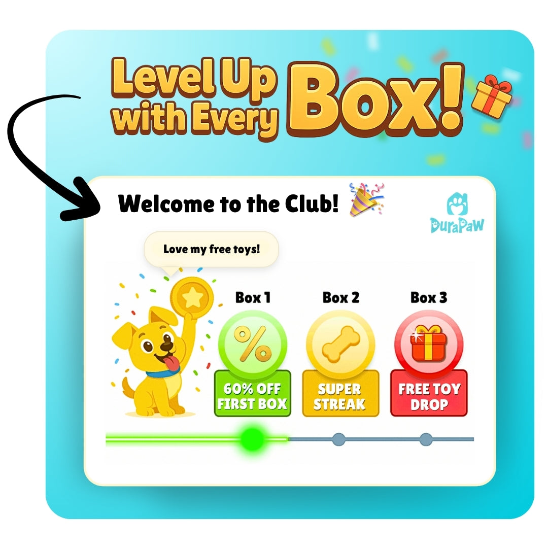 DuraPaw dog toy subscription box rewards program with cartoon dog and colorful graphics.