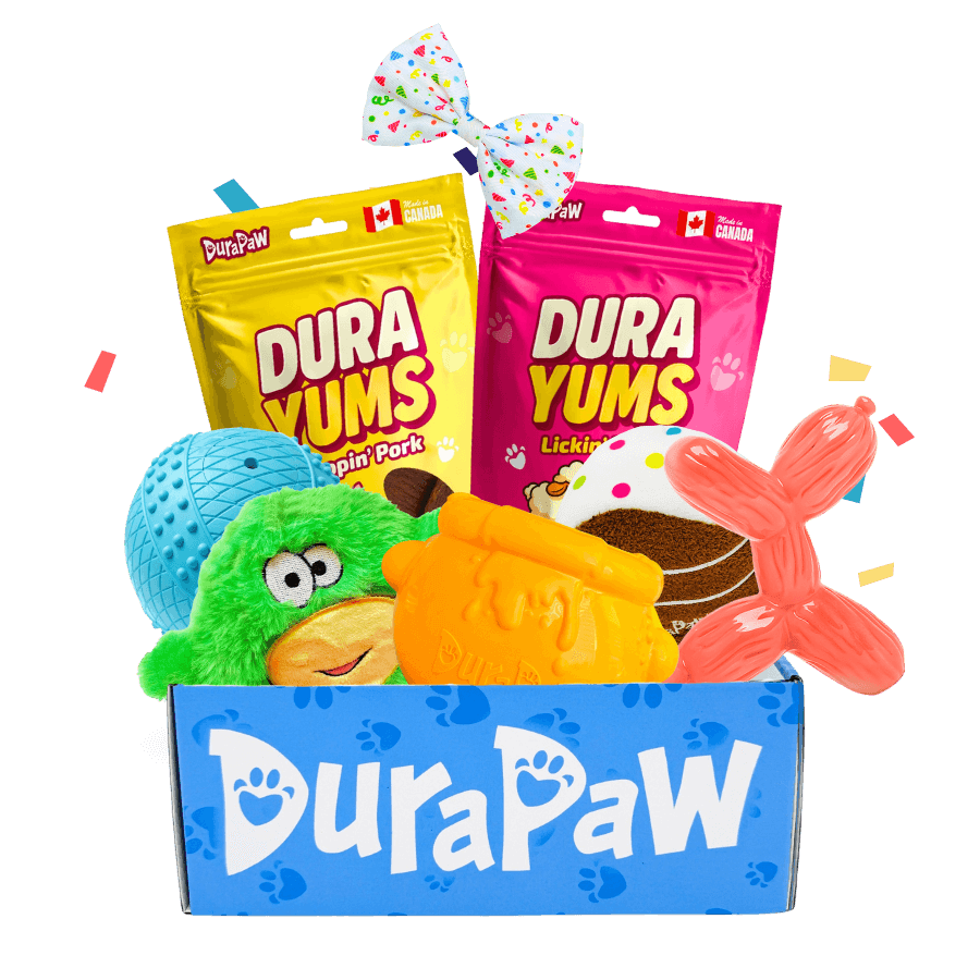 DuraPaw box product set with dog toys and treat packaging on a PNG background