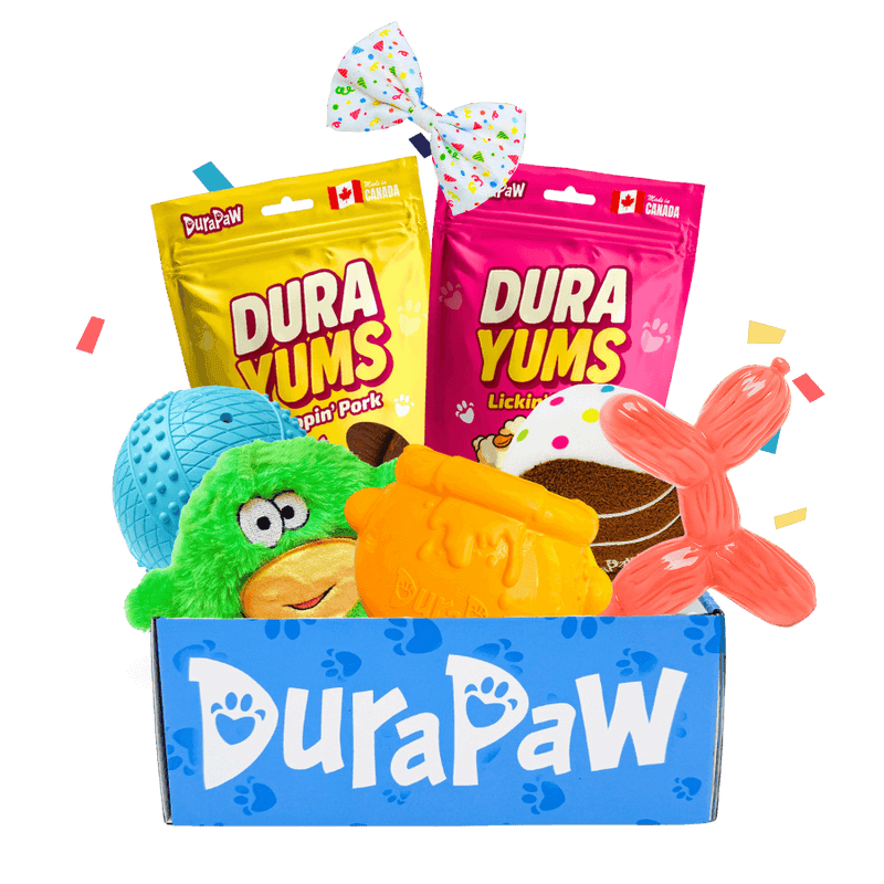 DuraPaw box product set with dog toys and treat packaging on a PNG background
