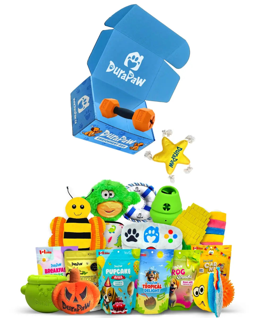 DuraPaw Dog Toy Box with Neat Pile Lots of Durable Toys Stacked High
