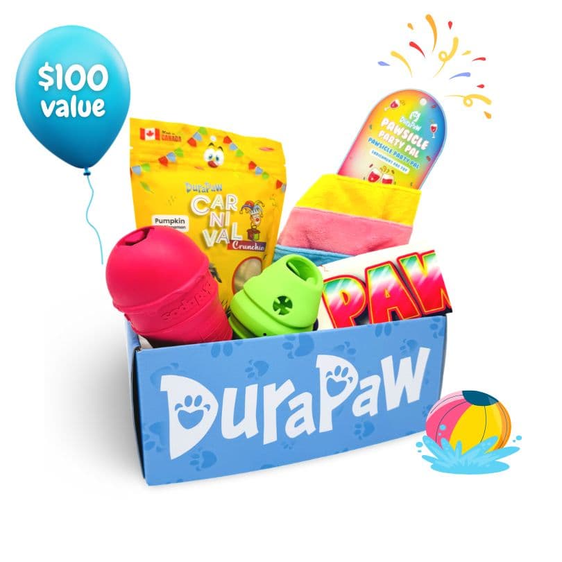 DuraPaw Dog Subscription Boxes Canada