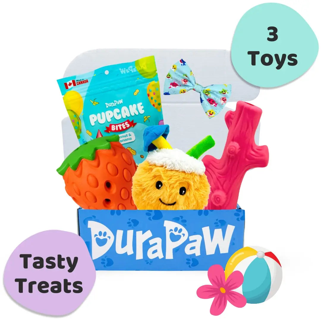 DuraPaw Inside Monthly Dog Subscription Box