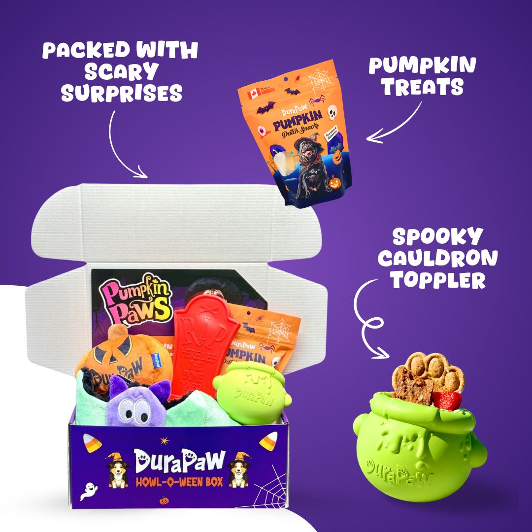 Halloween Dog Gift Box Idea
