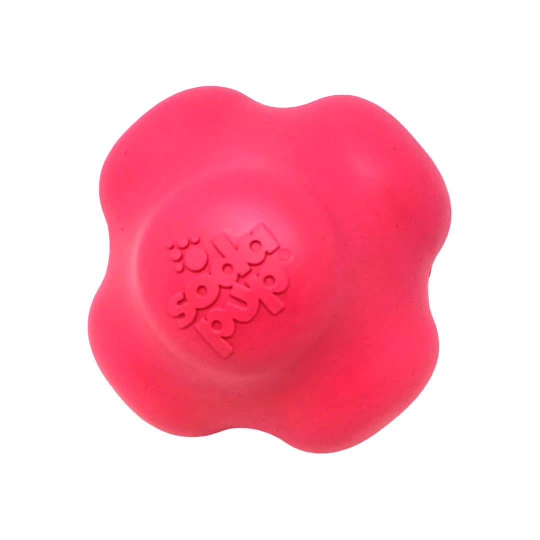 Durable Dog Crazy Bounce Throw Ball