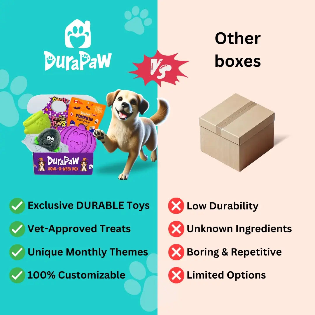 12 Month Plan - Ultimate Dog Enrichment Box