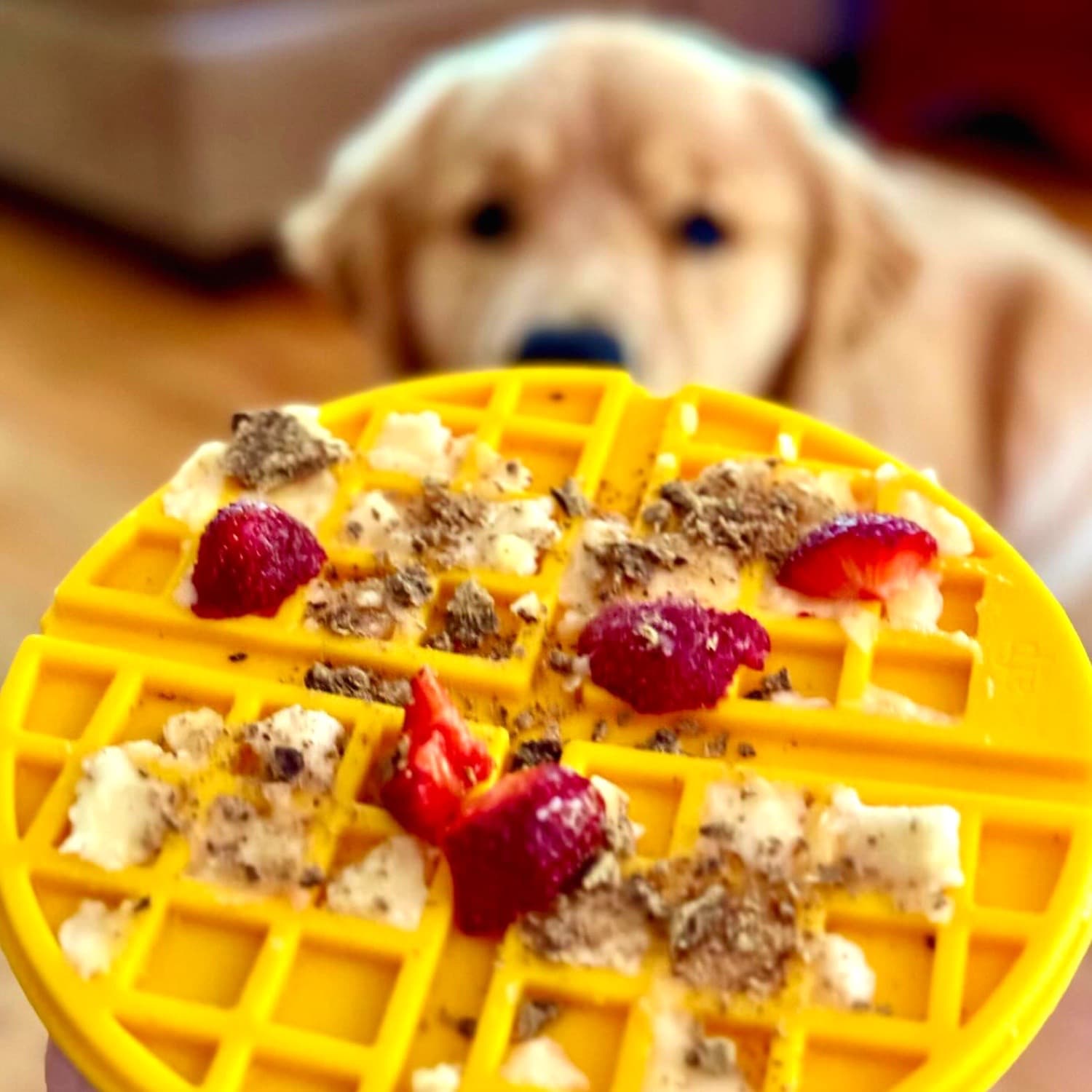 Woofle Dog Lick Mat Strawberry Recipe Idea