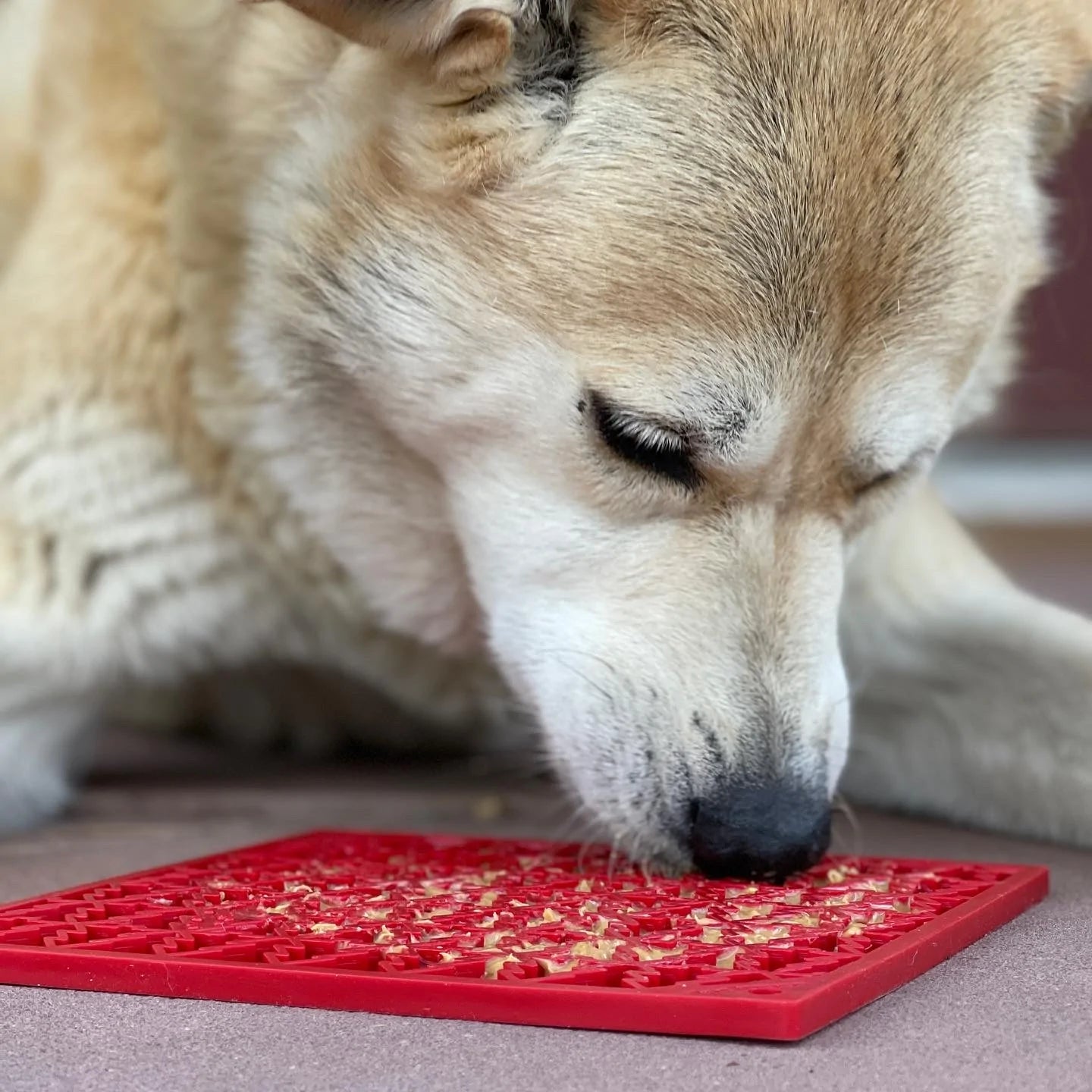 Dog Lick Mat Recipe Ideas