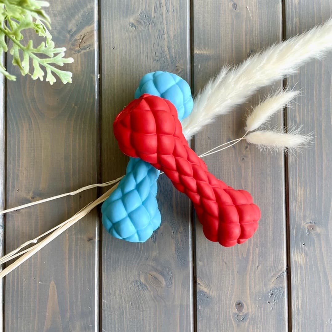 DuraPaw Durable Rubber Dog Toy Subscription Box Canada