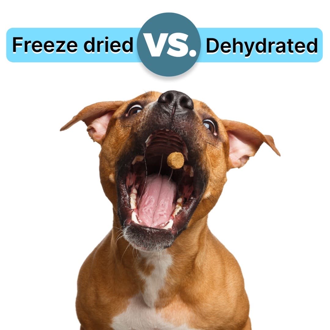 Freeze Dried vs Dehydrated Dog Treats