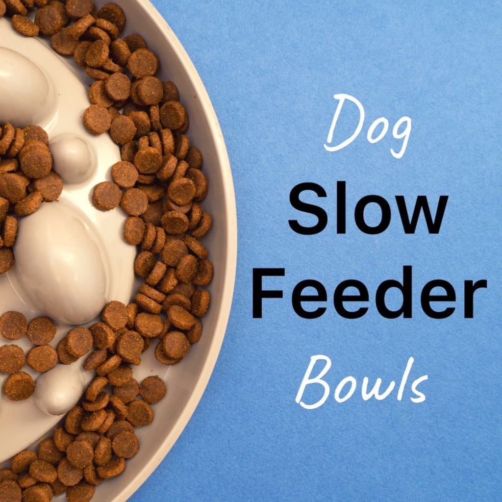 Benefits of a clearance slow feeder dog bowl