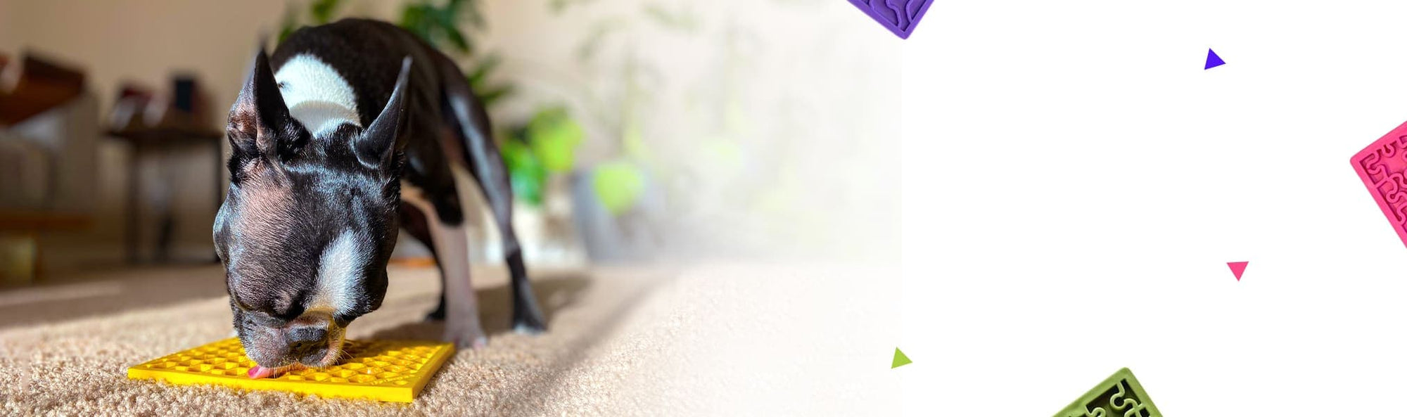 DuraPaw Dog Lick Mats Canada Enrichment Slow Feeders