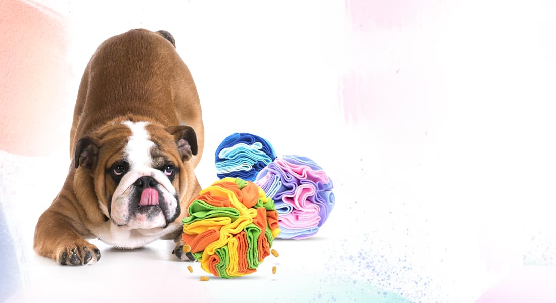 DuraPaw Snuffle Balls Mats Canada