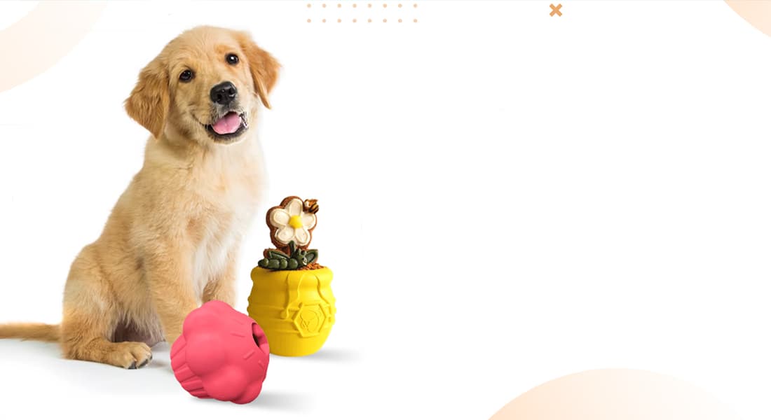 DuraPaw - Dog Toy Treat Dispensers